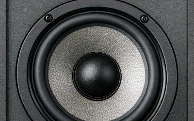 Focal alpha 65 tweeter en woofer in een speaker